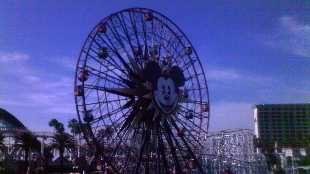 1613225205_19.bigwheel.thumb.JPG.2eb823de26263c576e1f7160450b5835.JPG