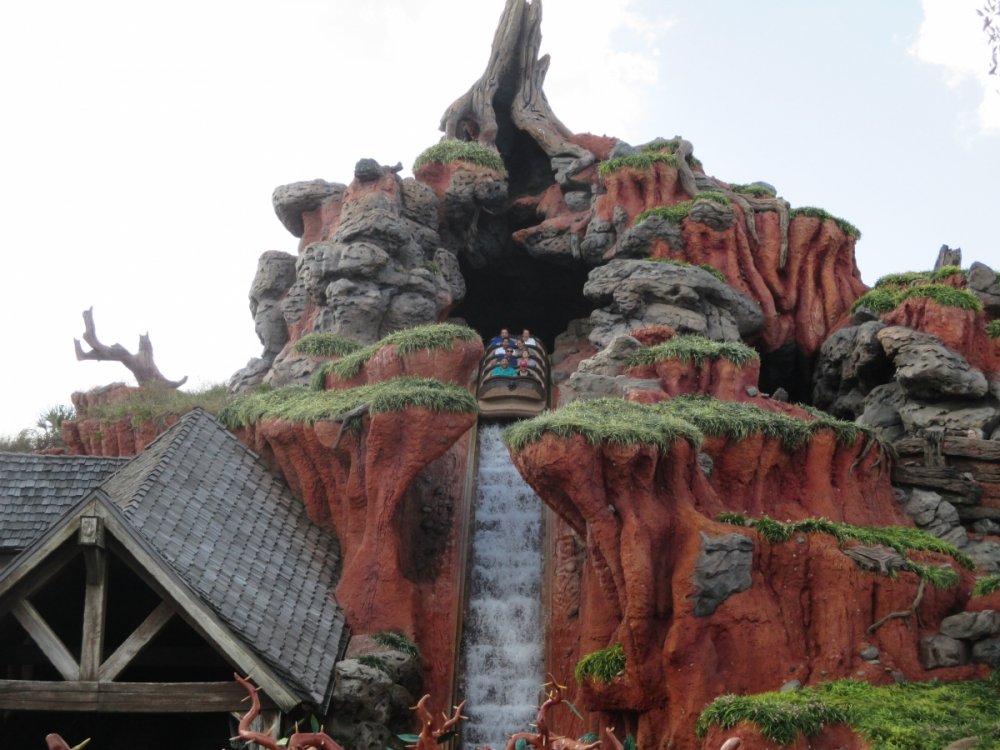 161378542_SplashMountain.thumb.jpg.eb1796201f478f1dbc18507d3f956051.jpg