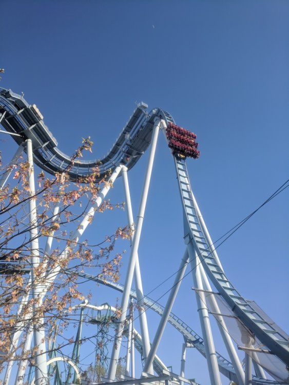1636820344_GriffonFirstDrop(Front).thumb.jpg.6454c109c5f7b6418e9d6f83d80e7a94.jpg
