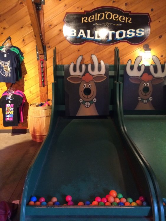 1718981332_ReindeerBallTossGame.thumb.JPG.3b2cb00e802eba5700a836518ef63813.JPG