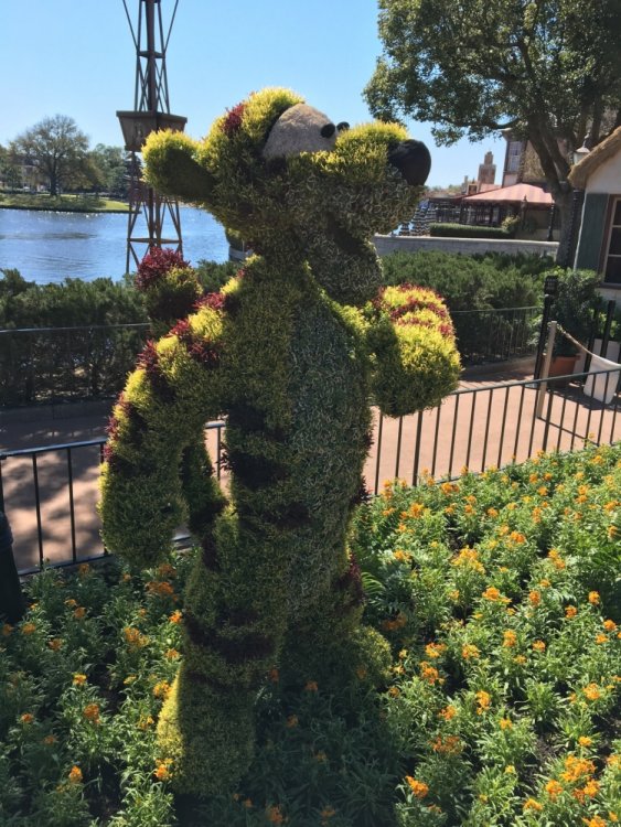 1745557010_flower_garden_epcot_2016_-18.thumb.jpg.a58b3c661c6b9e97711fd37d3c96eb1b.jpg