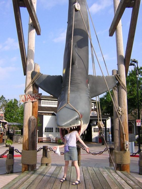 1757961524_Day4-SharkAttack.thumb.jpg.f817ac8108c5de34e0a20fd11baa375e.jpg