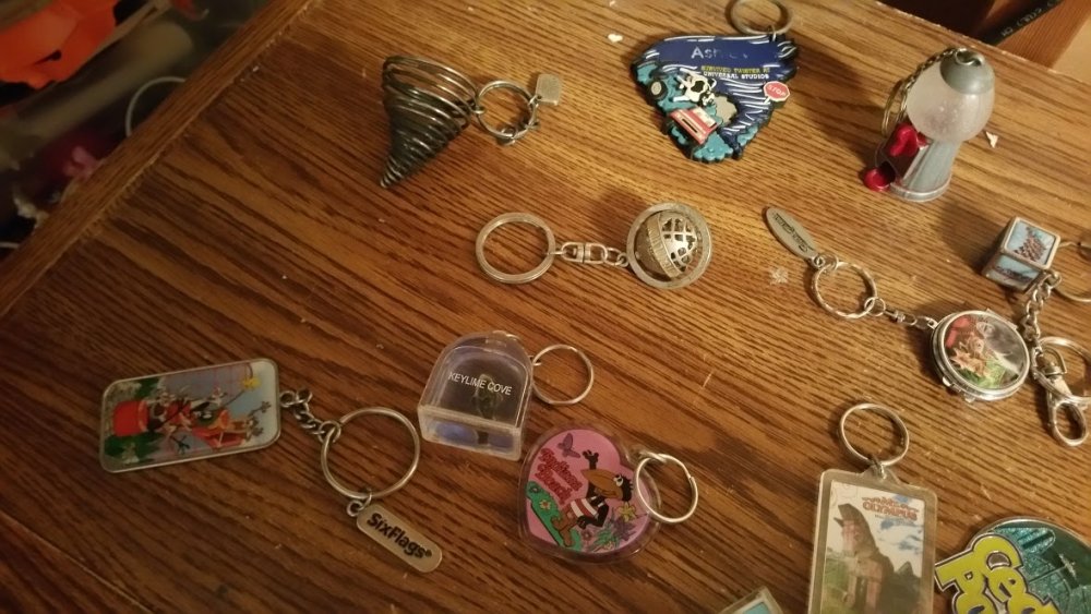1804274732_ParkKeychains3.thumb.jpg.a1d75f0f6dd7c766321bc9769b911514.jpg