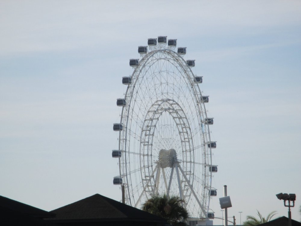 182596915_OrlandoEye.thumb.jpg.24921f2f4fb366c56216d99966eb822e.jpg