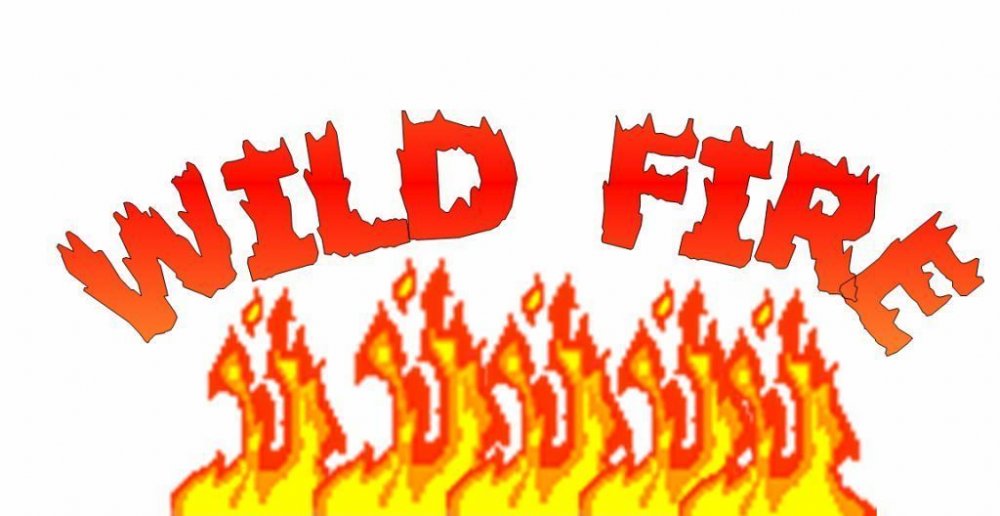 1859516795_WildFire.thumb.jpg.c30e255a34da94744fe12db6ea251884.jpg