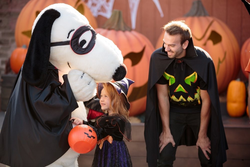 1981036515_GreatPumpkinFestSnoopy.thumb.jpg.7d39a89fb7157d2c2a9aca21d17ae477.jpg
