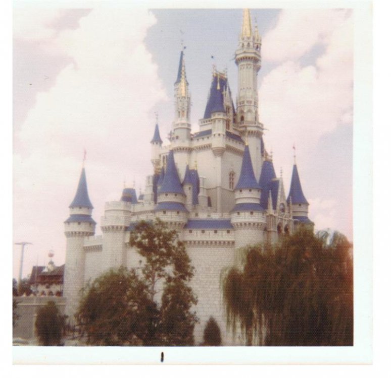 1994749095_WDW72GoodCastle(Medium).thumb.jpg.664b92b4eacd5adeb6e862490c5650a2.jpg