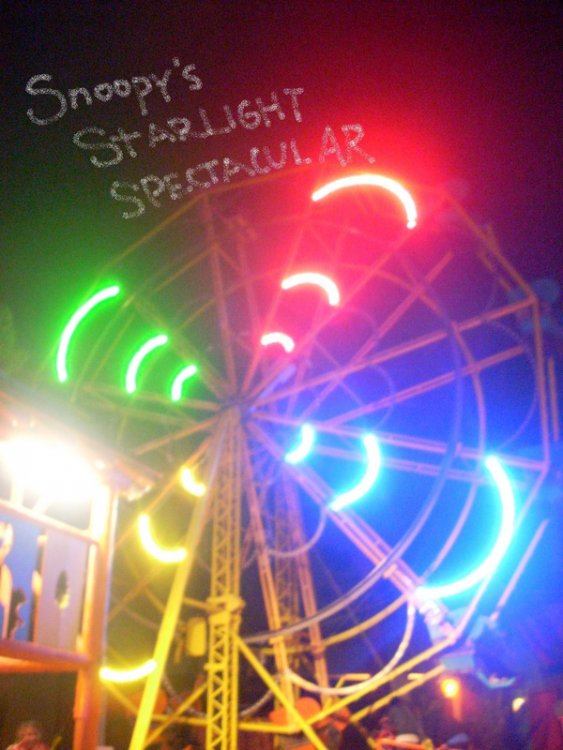 2000284385_sFunWheel.thumb.jpg.19b88993f5cd3b38ff5c49b659658ebc.jpg
