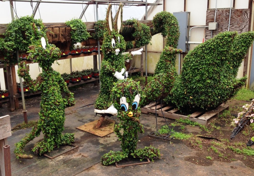 2011085881_PHOTO-SFGAdgreenhouses-topiaries2.thumb.jpg.03d608dd13c8b997137a4d1c1f2fe7a8.jpg