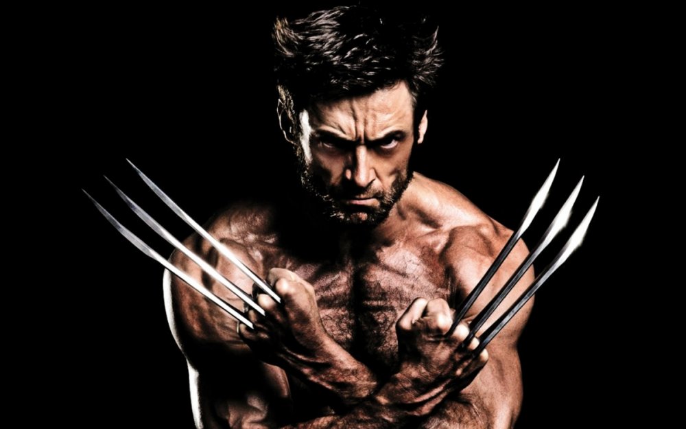 2013_the_wolverine-1440x900.thumb.jpg.06ee04c1ced43b23721051e07521599a.jpg