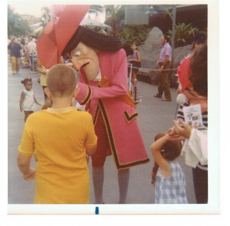 2050746560_WDW72CaptainHook(Medium).thumb.jpg.76eea7c41fc2c0555766a249ba6d0c5a.jpg