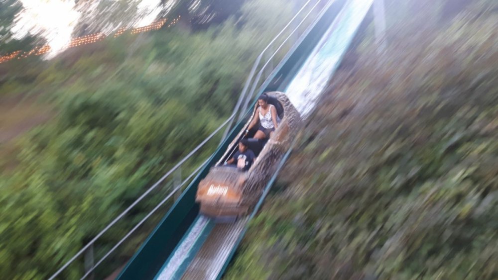 2085800790_42logflume.thumb.jpg.15e92497b07e556d5179f8bd55096aa7.jpg