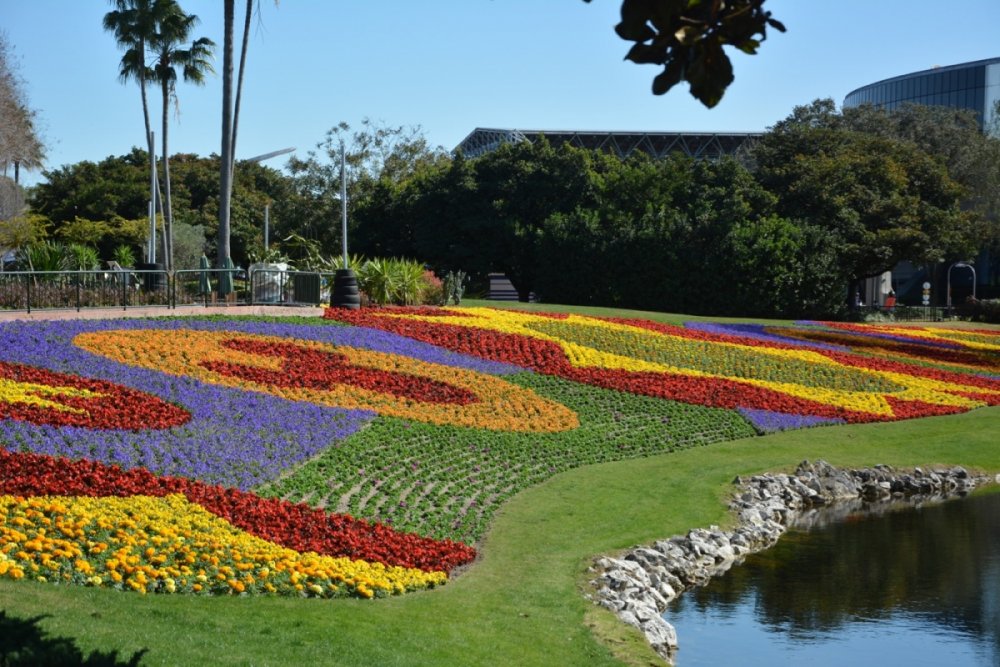 2106179670_flower_garden_epcot_2016_-5.thumb.jpg.9a87072711c8086c709254ae28a4024f.jpg