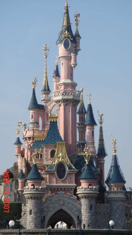 218126401_CinderellasCastle.thumb.JPG.6ddb3ff951a5f249e2aa9fc0765573d1.JPG