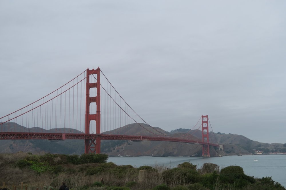 232751408_GoldenGate1.thumb.jpg.aa6b7ae4fb2eb0979fa0a74cdc660379.jpg