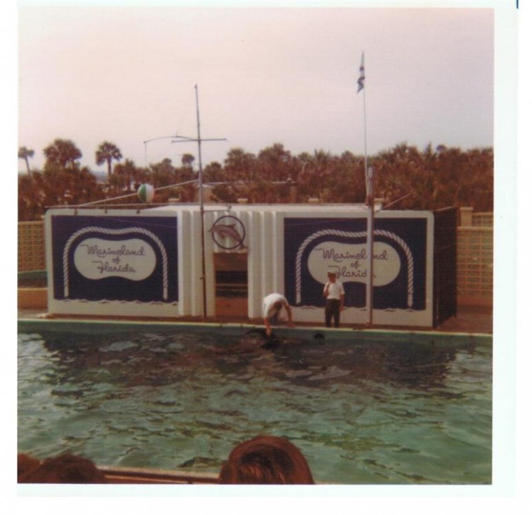 254507138_MarinelandDolphin(Medium).thumb.jpg.db59495e27c2feab74efad6421514925.jpg