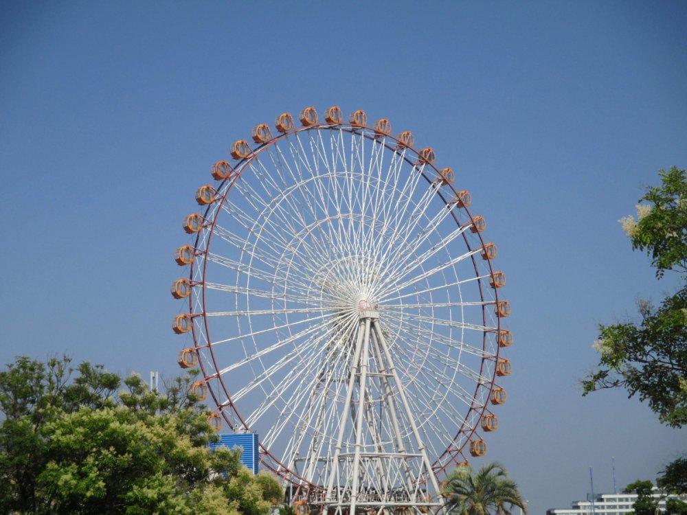 289314930_FerrisWheel.thumb.jpg.7224e13edd41e502312845a7ff6b5ca9.jpg