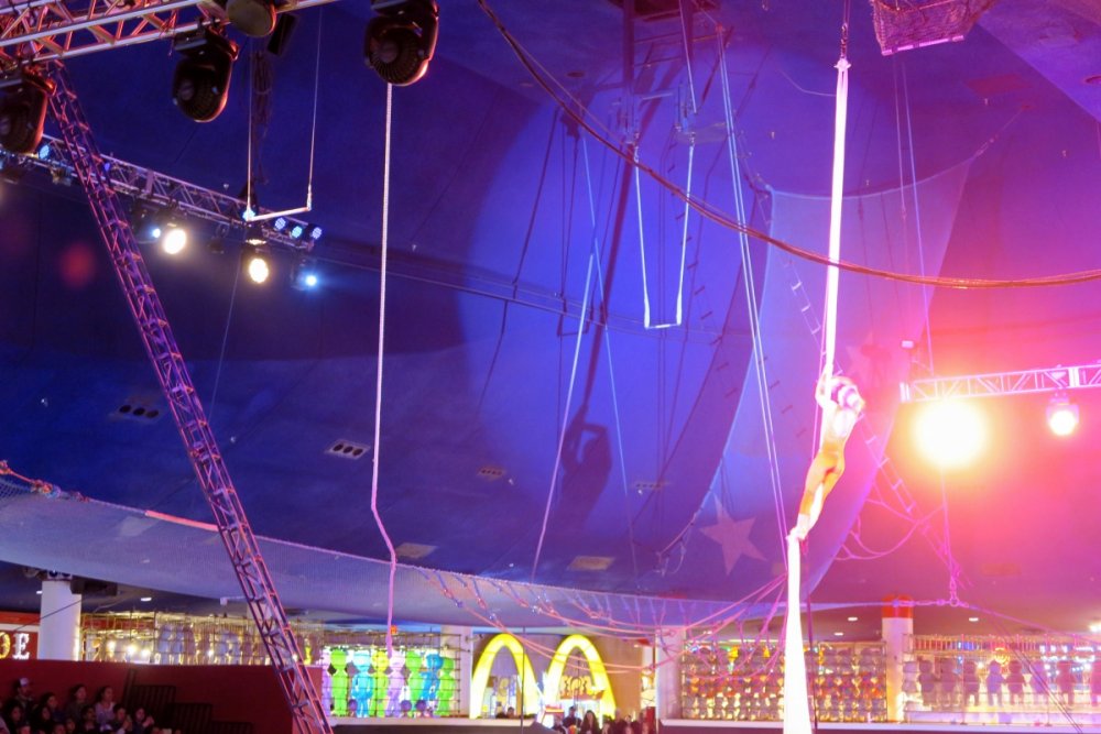 296802268_TrapezeShow.thumb.JPG.387287ba8fef95f777ea524d6cd37f1d.JPG