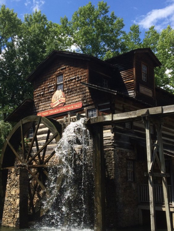 309417786_GristMill.thumb.JPG.c44953f6c4dc6aff5ed8af3822331a0d.JPG