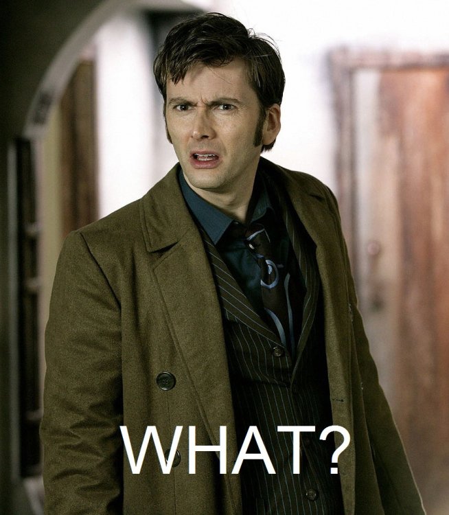 332188014_DoctorWhoWHAT.thumb.jpg.a56e0756f93316647f15de1d9f22b29f.jpg