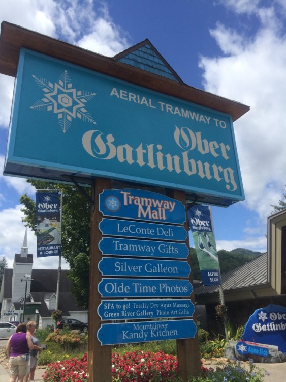 351724931_OberGatlinburg.thumb.JPG.e3ee9107569ba5e368d017c7a9803fd3.JPG