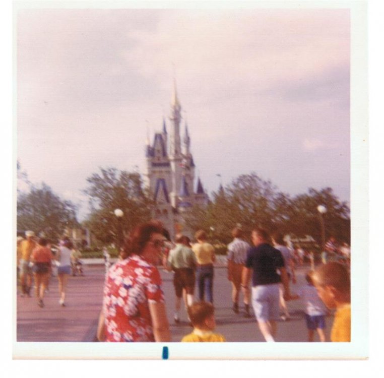 363467524_WDW72Anothercastle(Medium).thumb.jpg.ed7a6b0ce3acb00575d4dec555faab7b.jpg