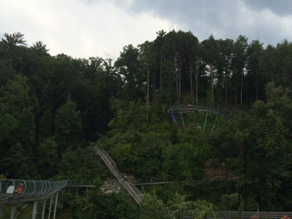 375231645_SmokyMountainAlpineCoaster.thumb.JPG.144d53b0583785960188d4ce573cece6.JPG