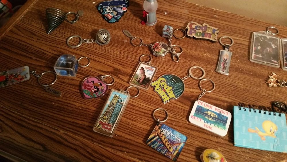 379087289_ParkKeychains2.thumb.jpg.a447a614e459711db915a15f7201006f.jpg
