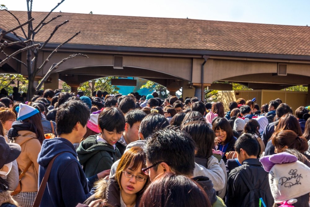 394097377_TokyoDisney3.thumb.jpg.81863161c992fc36424b6bc2ca9acc18.jpg