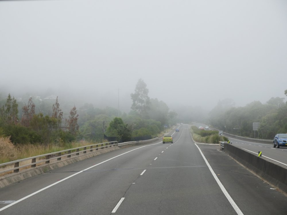411231794_Roadfoggy.thumb.JPG.0e1dda869abdb6c86c25f8d6aa2072d4.JPG
