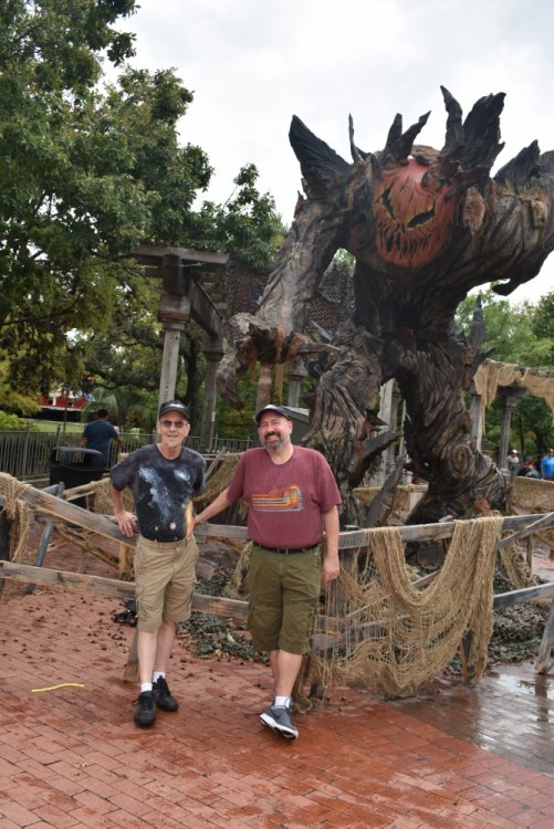 416482060_SixFlags-SFTEXAS-RightinsideFrontGate-id222838987.thumb.jpg.21c9d1d3972427f629d277f55ab12ad1.jpg