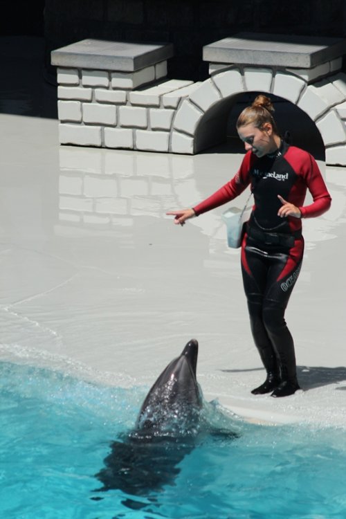429022884_Marineland271.thumb.JPG.c03d718beb980f92723d109941ad823f.JPG