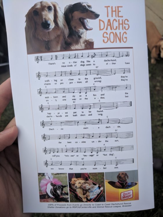 450110292_DachshundSong.thumb.jpg.b38f1ec2f24bb3e699e2f01f17d3c9f5.jpg