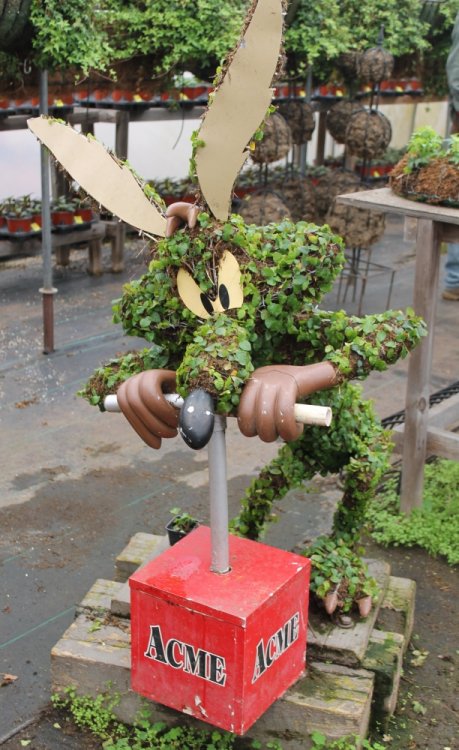 523186489_PHOTO-SFGAdgreenhouses-WileECoyotetopiary.thumb.jpg.0919be1b563ed5630124ce84eb2e5ee1.jpg