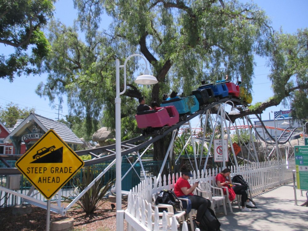568531022_FreewayCoasterTree.thumb.jpg.cbad55f5fffe68ac8c20c91faac1f3b7.jpg