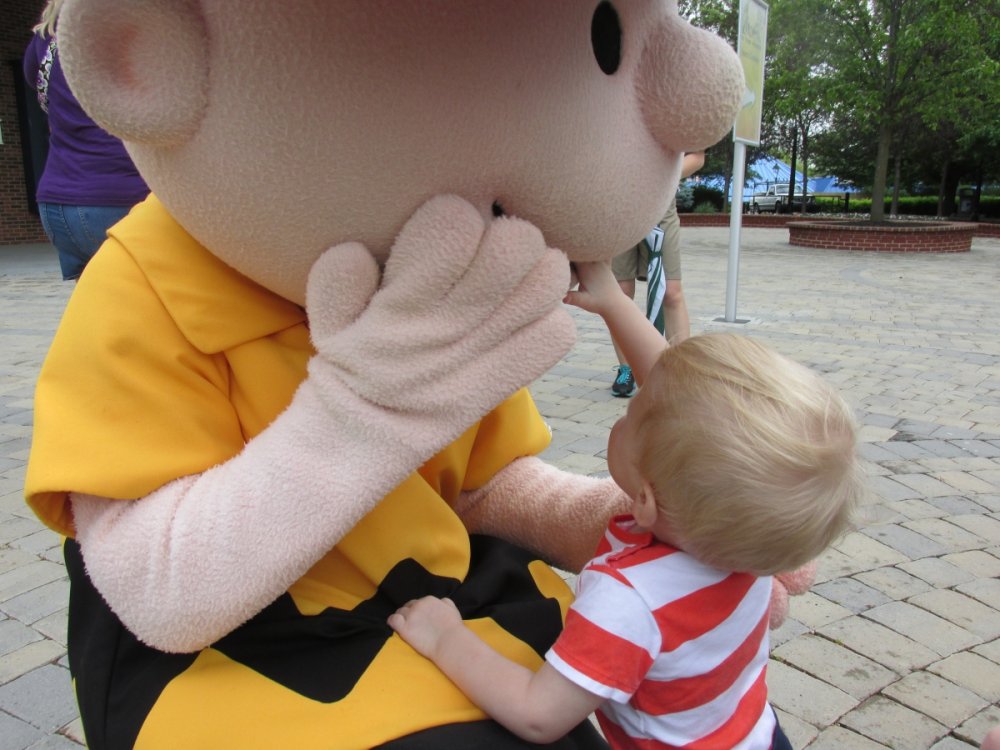 612515584_coasterstock2015097.thumb.JPG.5587d564af7d1a8aafead8dd9b441fd2.JPG