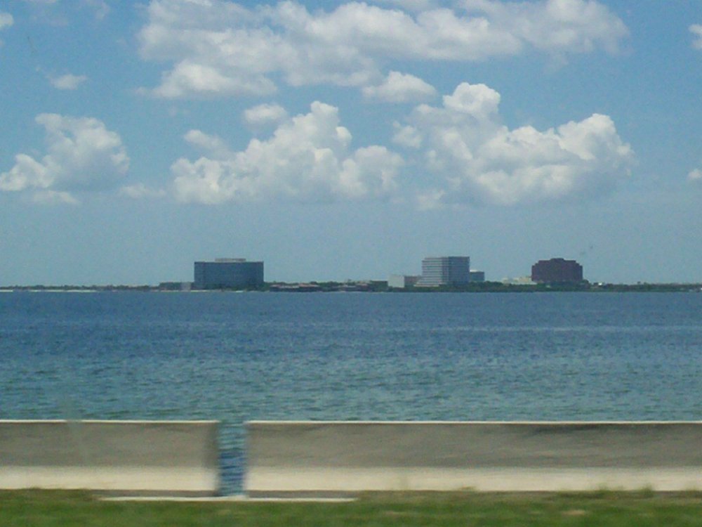 634401961_tampabay.thumb.jpg.cf46d8613698c9393d18d373172874c5.jpg