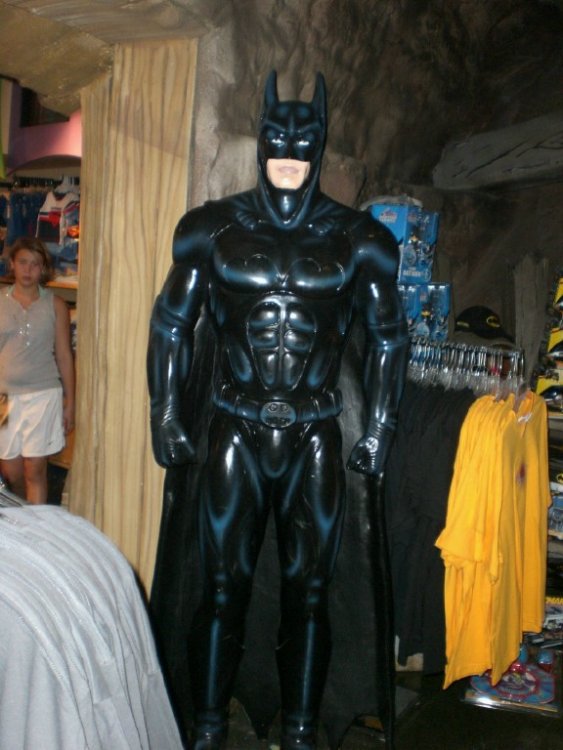 701752585_105batmanstatue.thumb.jpg.46b9e68b5931d7ef09ce325ff93ba99f.jpg