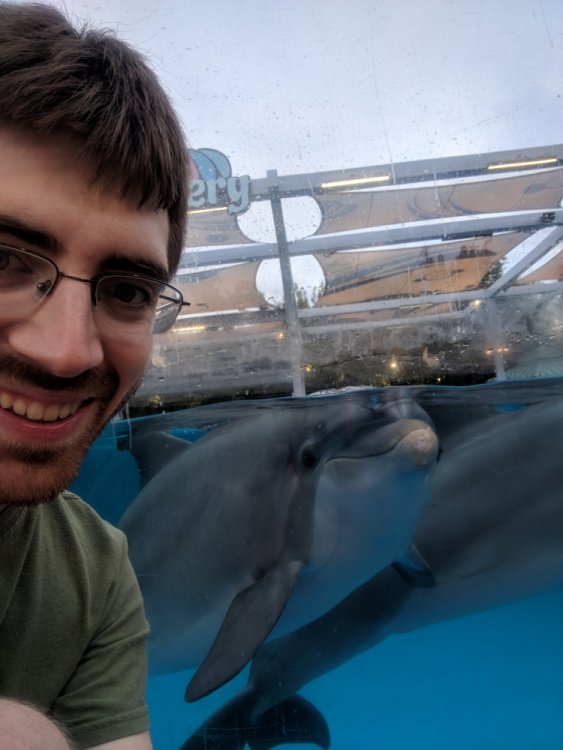 733231054_DolphinSelfie.thumb.jpg.12987786b8444f72146222a81ee964ac.jpg