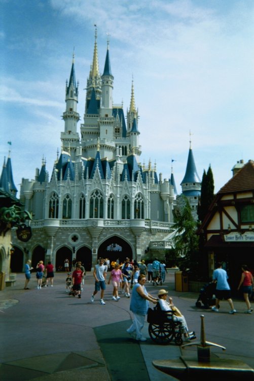 742272026_cinderellascastle.thumb.JPG.b020c9f6dc3e2a6c869a65ad2b57c244.JPG