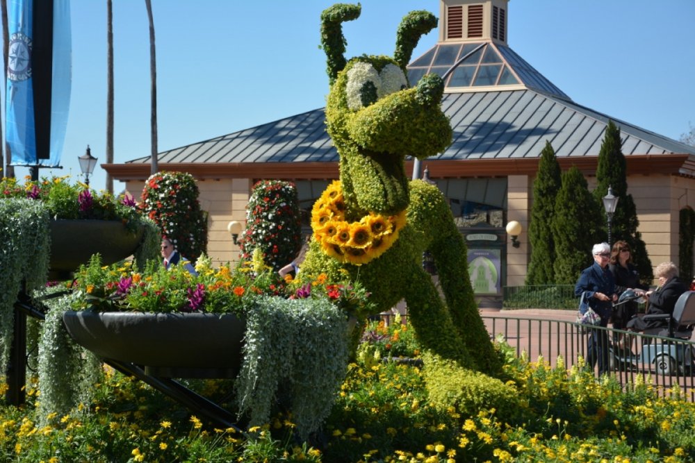 783848770_flower_garden_epcot_2016_-12.thumb.jpg.1a4da1520b4f3e38f837dc3cfea04f4d.jpg