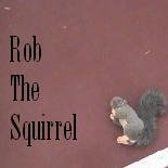 RobtheSquirrel
