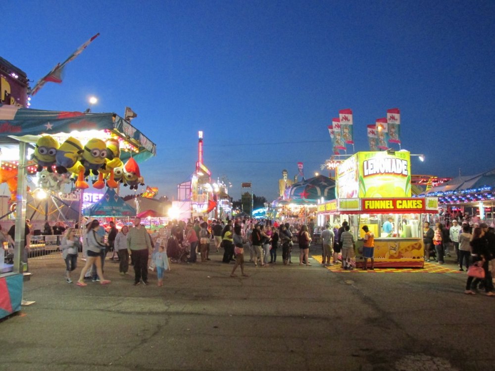 801969228_coastermaniaandcarnival2015294.thumb.JPG.92761ffa43437ceb266167744e9d9ccc.JPG