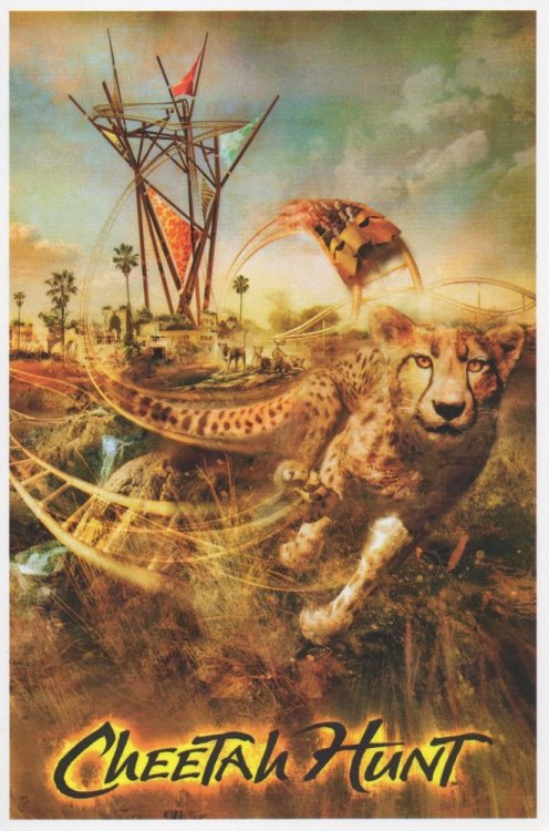 812811366_CheetahHuntFront.thumb.jpg.f169de3b419b2a352dc254dc3548bac0.jpg