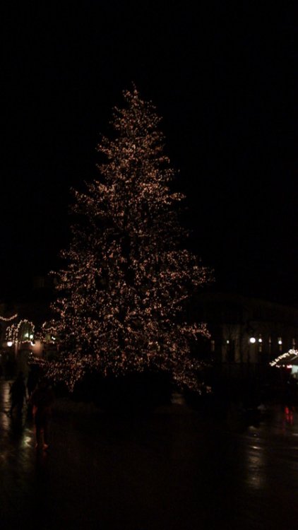 870571855_04-Weihnachtsbaum.thumb.JPG.0ba34d951d95ef78276a9cb645024cf8.JPG