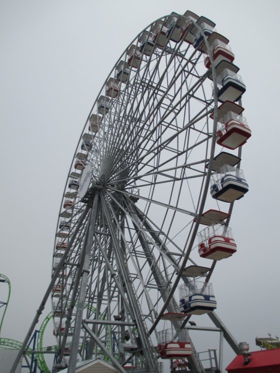 89114116_FerrisWheel.thumb.JPG.100857515289aab358684bd45e3759c6.JPG