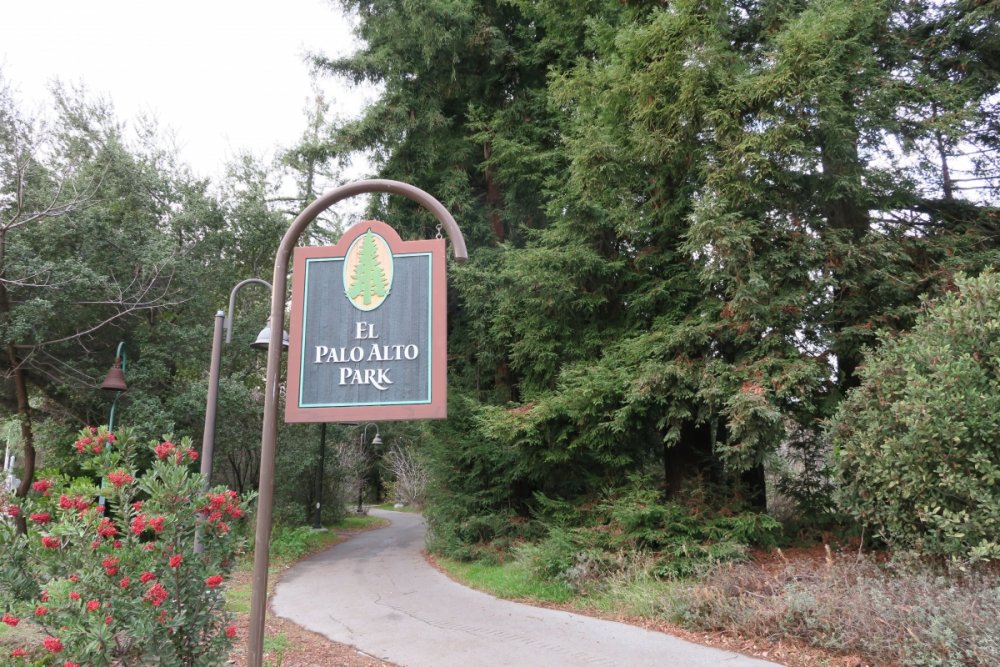 971558989_ElPaloAltoPark.thumb.jpg.7658512a897e6e451927922d9c039d12.jpg