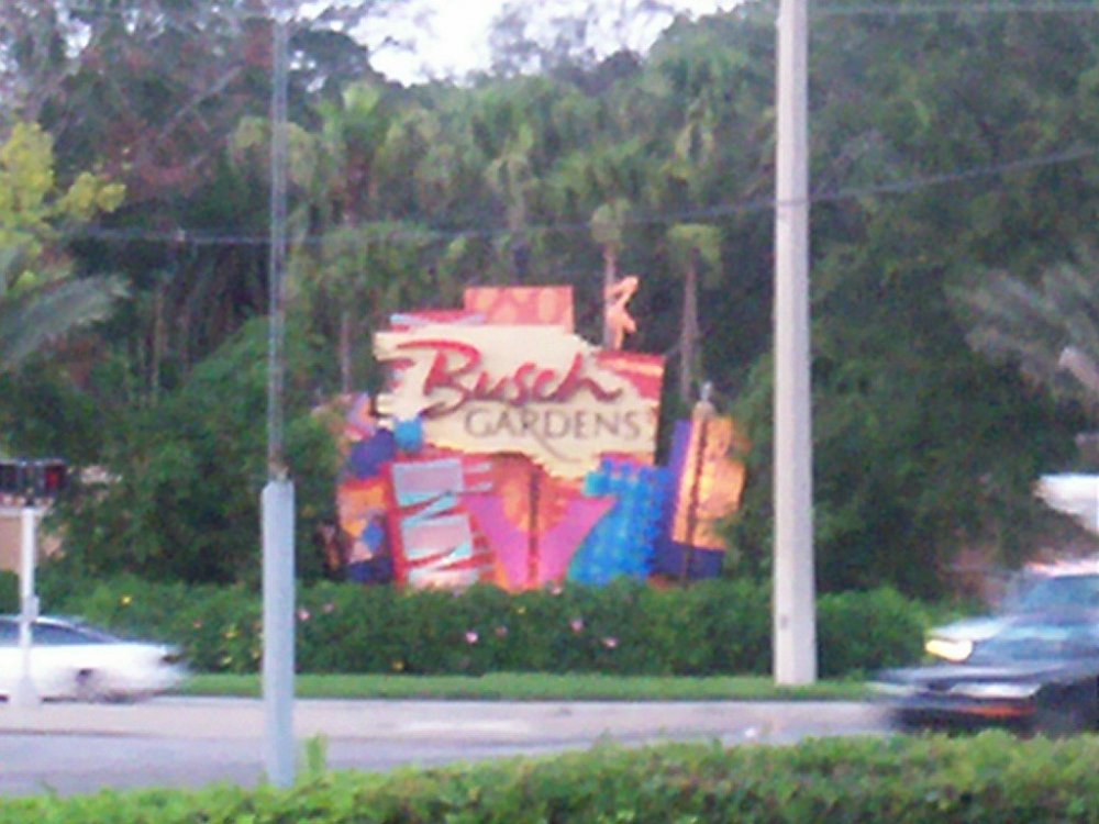973706901_BUSCHgardens.thumb.jpg.30f952da0171aa0b2f46e5701f7e4413.jpg