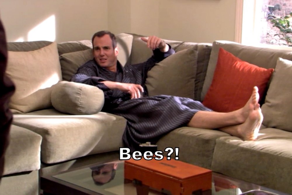 BEES.thumb.jpg.676d4fbff4e914e1dc4271b3b72eb831.jpg