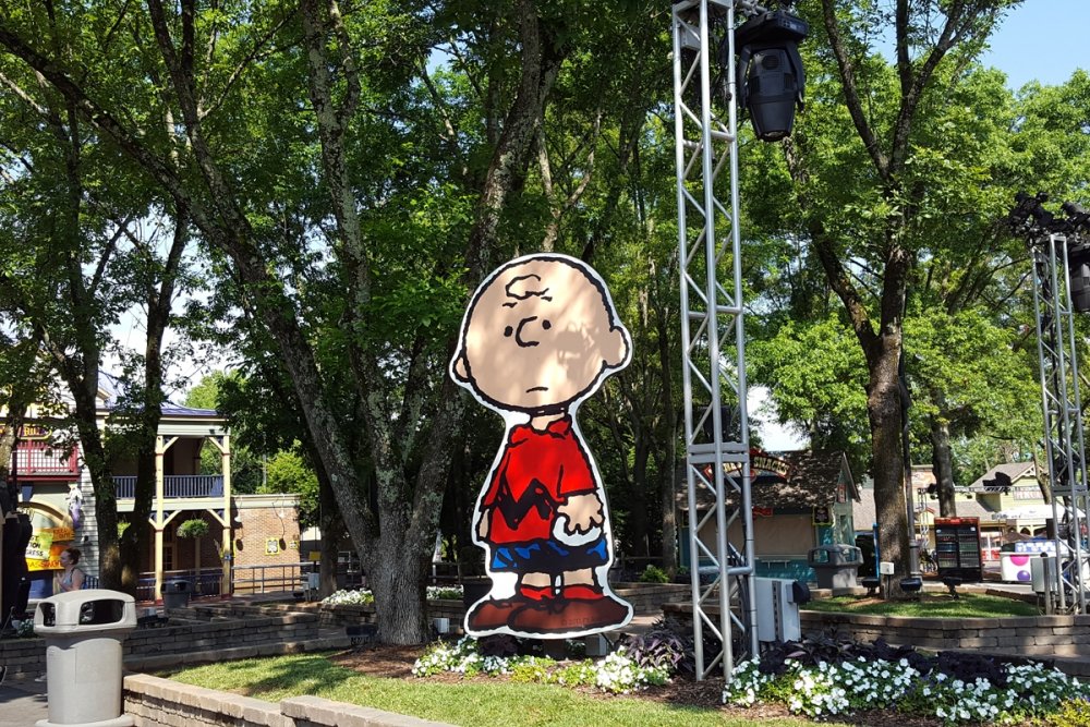 CharlieBrown.thumb.jpg.e843968b118ac1ea1194a626c0571bf9.jpg